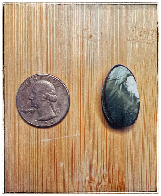 Green Zebra Bloodstone