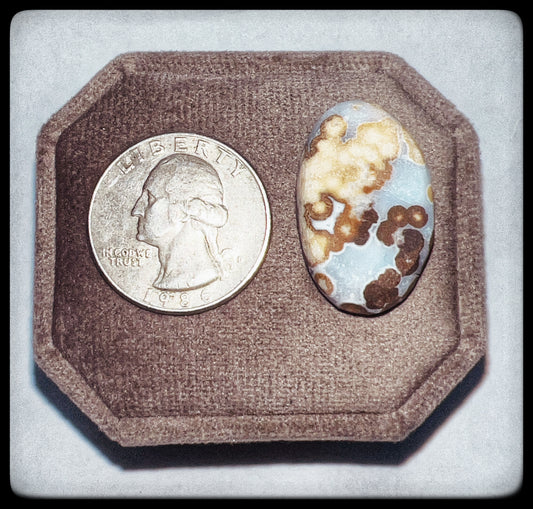Polka Dot Agate