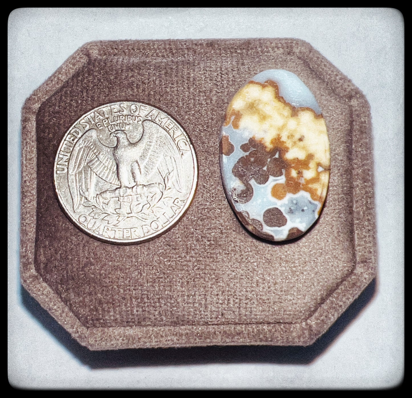 Polka Dot Agate