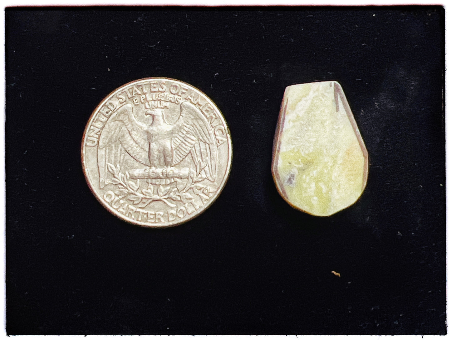 Lemon Lime Serpentine